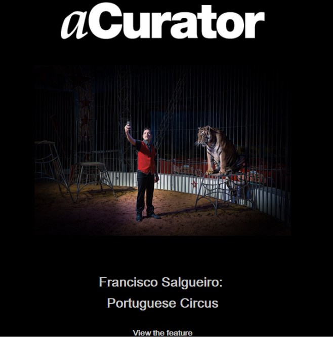 Editorial in one of the most influential fine art digital magazines in the United States: aCurator (January 2015) www.acurator.com